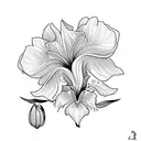 fleur iris tattoo design idea