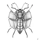 grasshopper opposites best friend  tattoo design idea