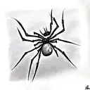 Spider tattoo design idea