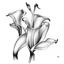 calla lily tattoo design idea