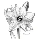 daffodil Daisy carnation snowdrop morning Glory bouquet  tattoo design idea