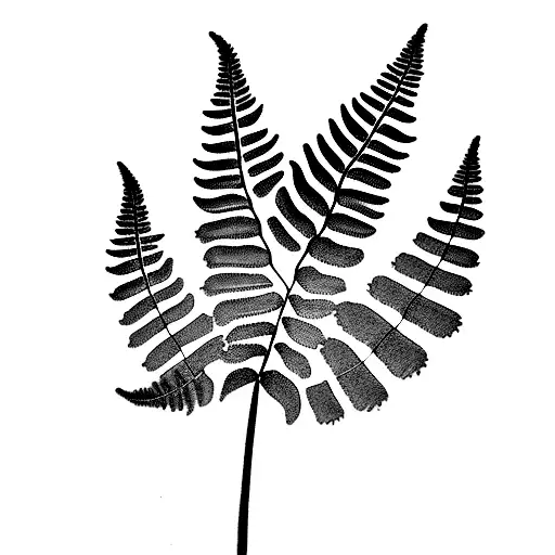 Fern Tree tattoo design idea