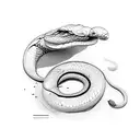 Anaconda tattoo design idea