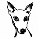 italian greyhound tattoo design idea