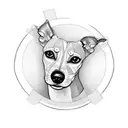 sketch of a whippet inside a geometric shape tattoo design idea