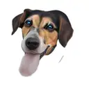 psychedelic colours tattoo design idea