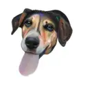 psychedelic colours tattoo design idea