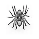 Spider tattoo design idea