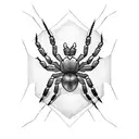 Spider tattoo design idea