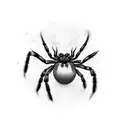 Spider tattoo design idea