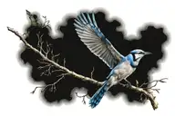 blue jay bird flying away tattoo design idea