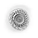 ammonite tattoo design idea
