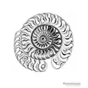 ammonite tattoo design idea