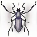 soldier ant tattoo design idea