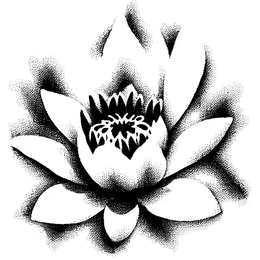 water Lilly and larkspur flower with the name Evelyn Rae tattoo design idea
