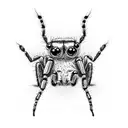 cute jumping spider, blue shading, dimension, cute spider, big eyes, jumping spider tattoo design idea