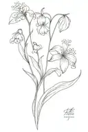 lily of the valley flower, tulip flower, forget me not flower, dandelion  tattoo design idea