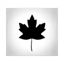 simple maple leaf tattoo design idea