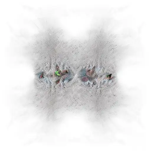 mirror background with an  image that is an optical illusion... so a famous double image is within the mirror. for u 2 c tattoo design idea