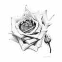 rose with names Dylan Cian Lucas on each leaf  tattoo design idea