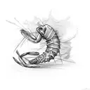 shrimp tattoo design idea