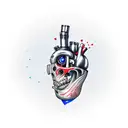 concept af a tatoo for man background: realistic human heart with aorta, red and blue - like in students' books profile  tattoo design idea
