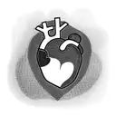 concept af a tatoo for man background: realistic human heart with aorta, red and blue - like in students' books profile  tattoo design idea