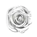 colombian landscape scenery with roses with outline of country the word Velez centered  tattoo design idea