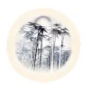 cocora colombian landscape  bamboo trees scenery with outline of country the word Velez centered  tattoo design idea