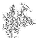 Wisteria Flower tattoo design idea