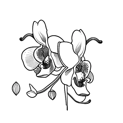 Illustration of a Orchid in black and white tattoo design idea
