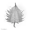 Fern Tree tattoo design idea