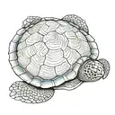 turtle from above  tattoo design idea