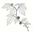 blackberry branch  tattoo design idea