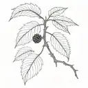 blackberry branch  tattoo design idea