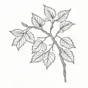 blackberry branch  tattoo design idea