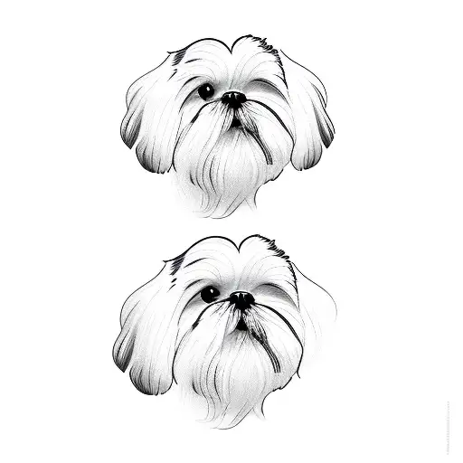 shih tzu tattoo design idea