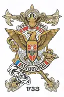 173rd Airborne Brigade tattoo for forearm cover-up, include Parachutist Badge tattoo design idea