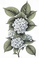 hydrangea flower tattoo design idea