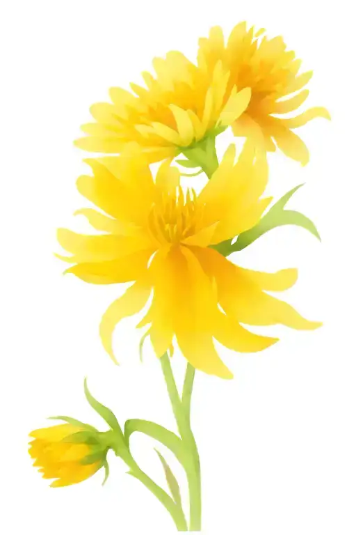 chrysanthemum,aster, & snowdrop flowers intertwined tattoo design idea