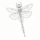 dragonfly tattoo design idea