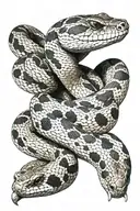 rattlesnake tattoo design idea