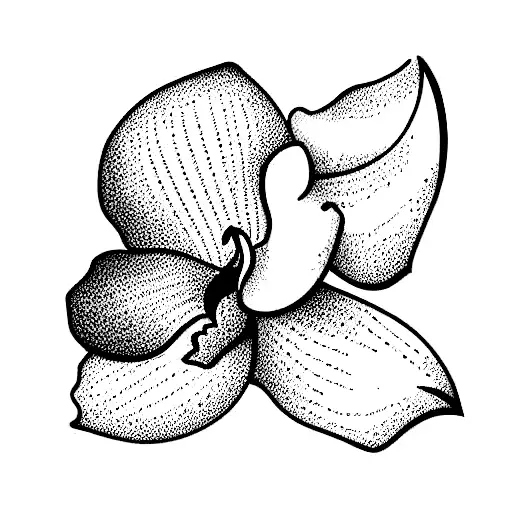 minimal bouquet of orchid, lavender and chamomile in an eliptic frame tattoo design idea