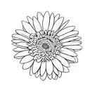 minimalist gerbera tattoo design idea