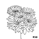 minimalist gerbera tattoo design idea
