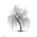 weeping willow tree tattoo design idea