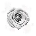 Gothic rose tattoo design idea