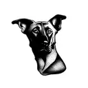 belgian malinois tattoo design idea