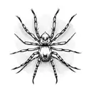 Spider tattoo design idea