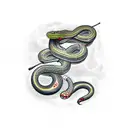 Traditional style tattoo of a snake and crow forming a musical staff tattoo design idea